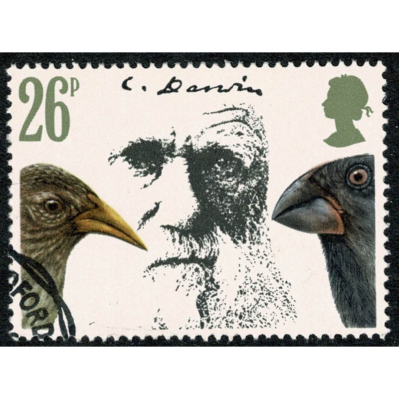 1982 Darwin. 26p value. SG 1177. Fine Used.