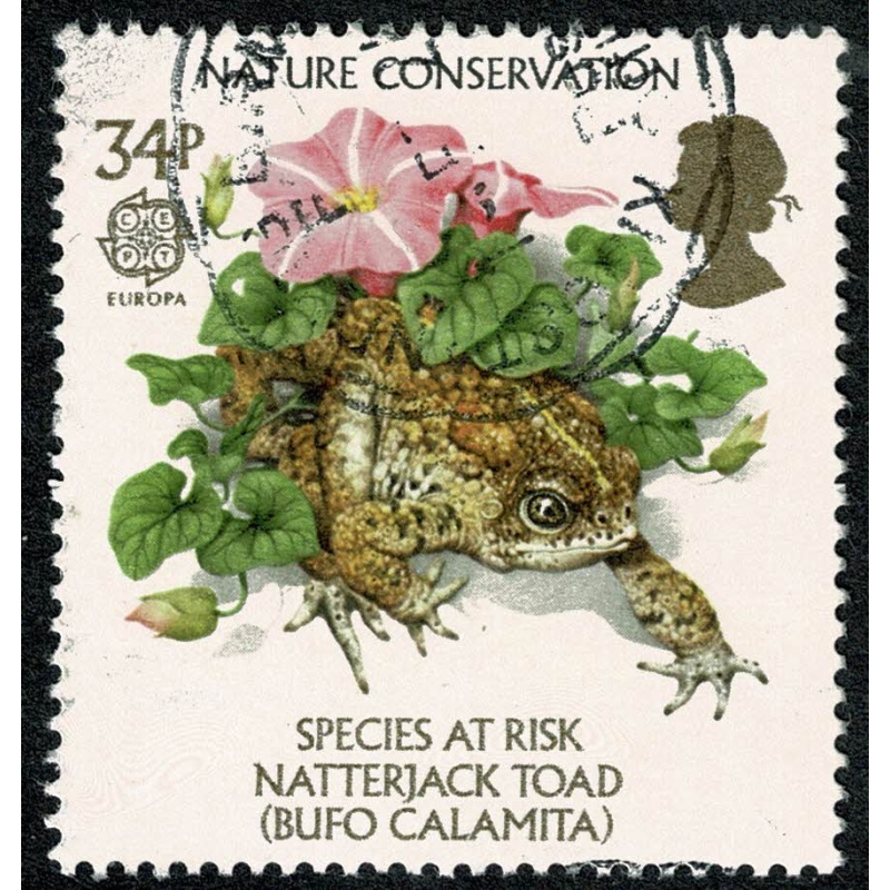 1986 Nature Conservation 34p. Fine Used single. SG 1323