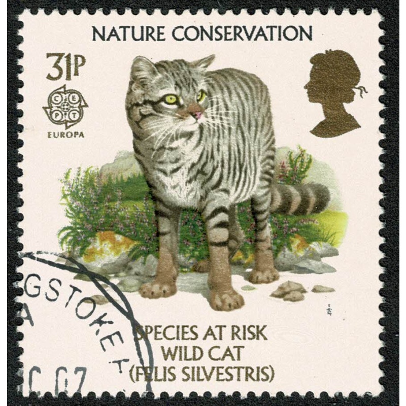 1986 Nature Conservation 31p. Very Fine Used single. SG 1322